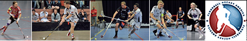 Floorball California
